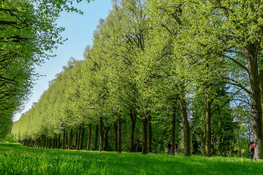 Parklandschaft im Frühling - Land Brandenburg