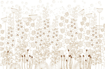 white and beige flowers and grass on a white  background.vector illustration