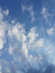 Kuş ve uçak gökyünde uçuyor