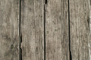Wooden panel of old weathered oak boards closeup as background