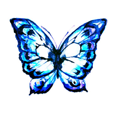 butterflies design