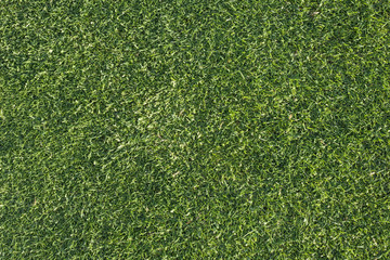 Fototapeta premium Texture of grass from a golf course.