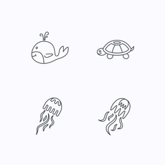 Turtle and jellyfish icons. Jellyfish.