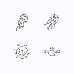 Obraz premium Jellyfish, crab and ladybug icons.