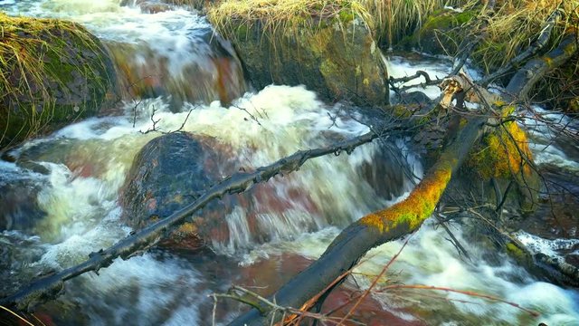 Spring creek.Forest stream running over mossy rocks