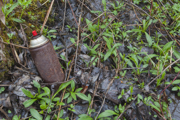 An old rusty spray can in a wetland.