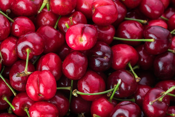 Fresh red cherries