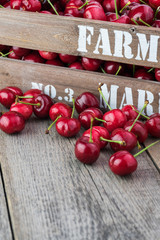 Red cherries in farmers crate.