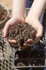 Starting a Garden With Seeds