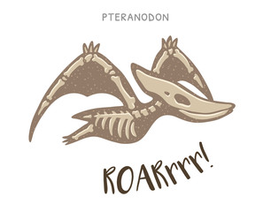 Cartoon pteranodon dinosaur fossil. Vector illustration © penguin_house