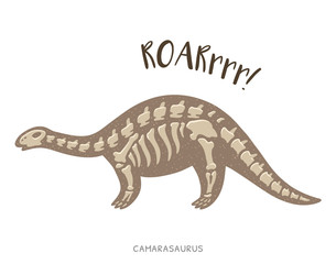 Cartoon camarasaurus dinosaur fossil. Vector illustration