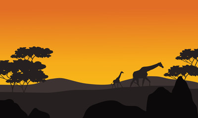 Giraffe silhouette in park scenery