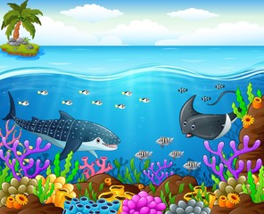 Cartoon fish under the sea