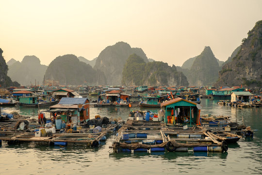 Cai Beo floating village on sunset in Ha Long Bay