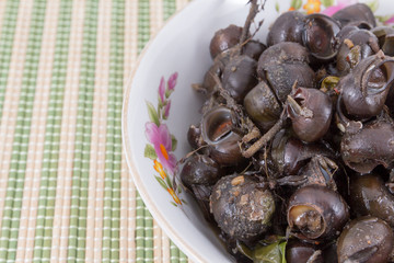 Periwinkle Curry,Local Foods of Thailand