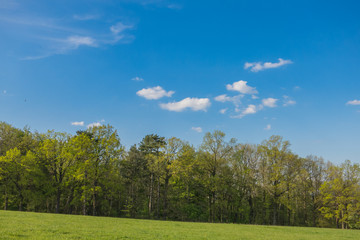 Landschaft im Frühling