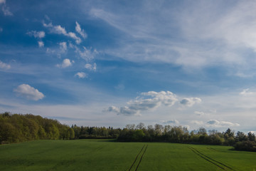 Landschaft im Frühling