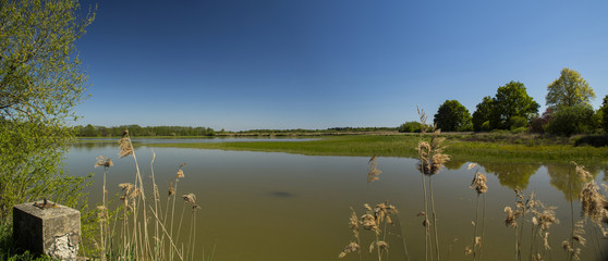 Etangs dans les Dombes - Ain.