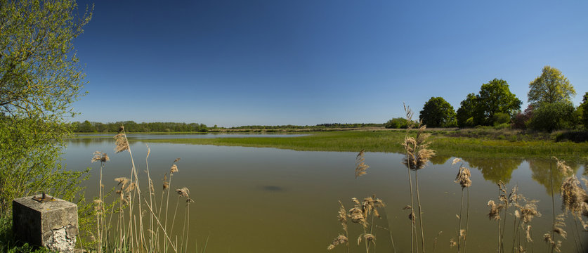 Etangs dans les Dombes - Ain.
