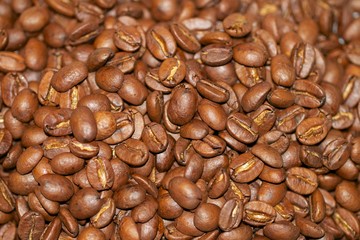 Blue mountain coffee beans, 