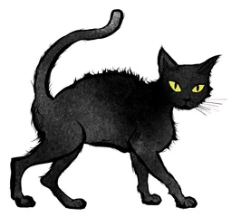 Gardinen Schwarze Katze geht und schaut in die Kamera © Isaxar