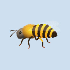 Fluffy bee