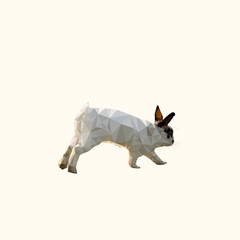 running polygonal rabbit