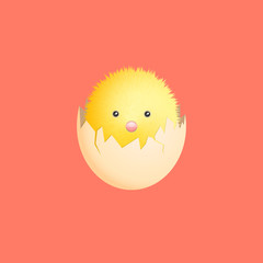 fluffy chick