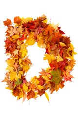 alphabet sign from autumn leaf