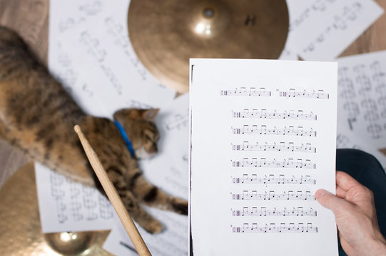 Drums conceptual image. Picture of man with stick and music notes. Background - cymbals, notes and cat