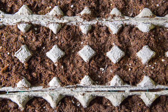 Egg Carton Planters To Start Sprouting Seeds.