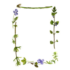 Fototapeta na wymiar floral frame with watercolor drawing herbs and leaves