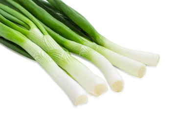Green onion on a light background closeup