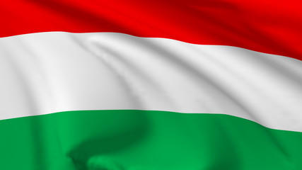 Obraz premium Flag of Hungary