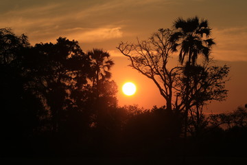Sunset in South Africa