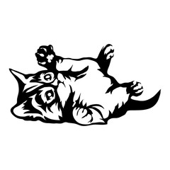 Cat logo isolated on white background