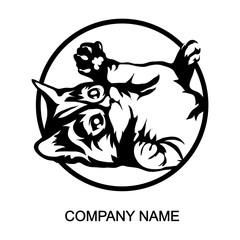 Cat logo isolated on white background