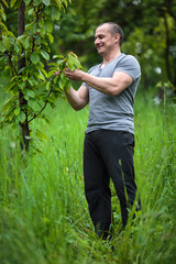 Farmer in the orchard