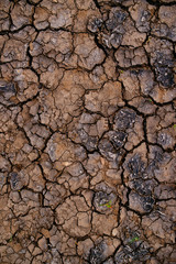 Soil drought and mud cracks in dry land