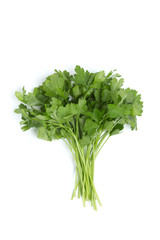 イタリアンパセリ