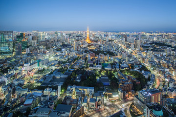 Fototapeta na wymiar Tokyo city view and Tokyo Tower at twilight