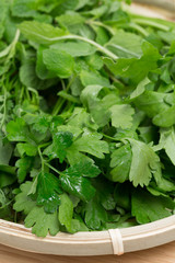 イタリアンパセリ