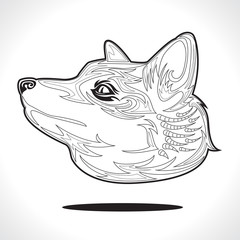 fox
