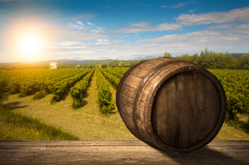 Fototapeta premium Red wine with barrel on vineyard in green Tuscany, Italy