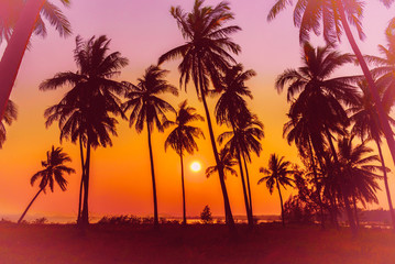 Fototapeta na wymiar Silhouette coconut palm trees on beach at sunset. Vintage tone.