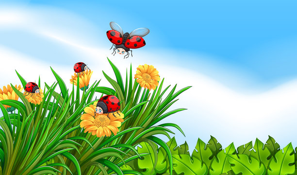 Scene with ladybugs flying in the garden