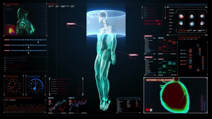 Human skeletal and blood vascular system inside scanning Human body in digital medical display. user interface. - Powered by Adobe