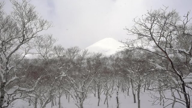 Slow Motion Snowing in the Mountains of Hokkaido, Japan