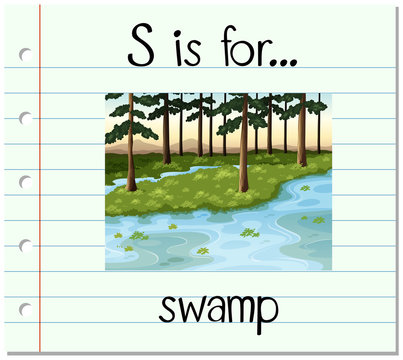 Flashcard letter S is for swamp