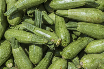 Zucchini on a market
